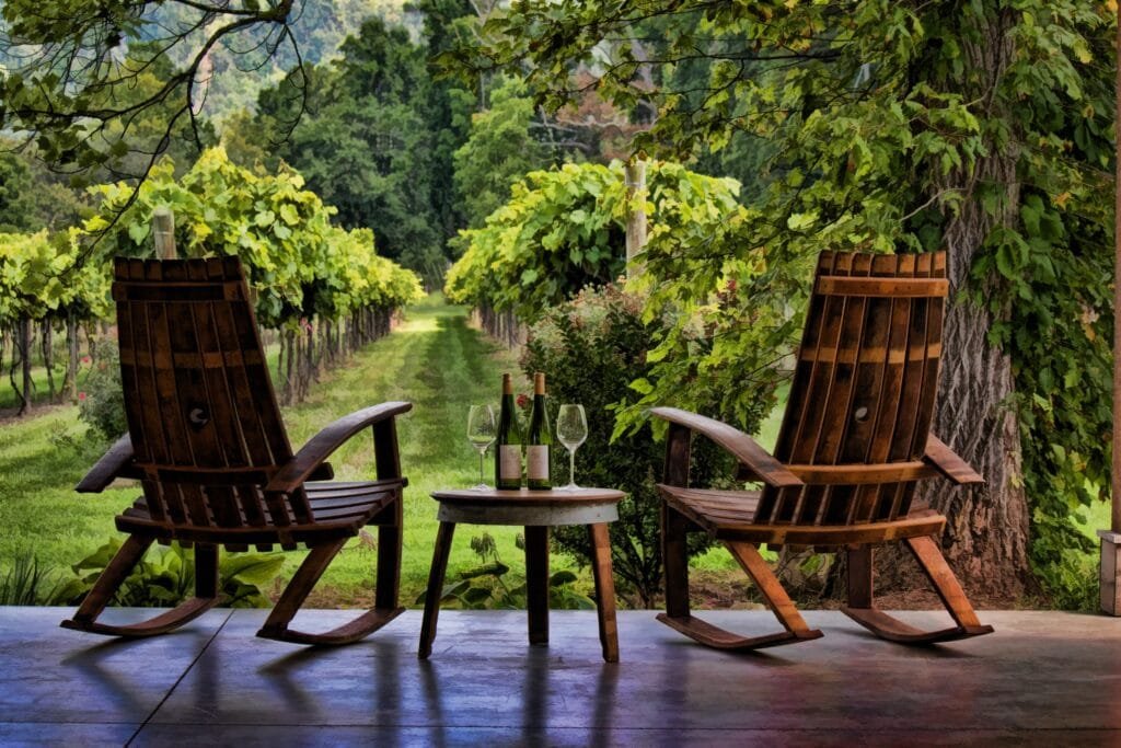 0021 SW_Vineyard0921.a901dd14