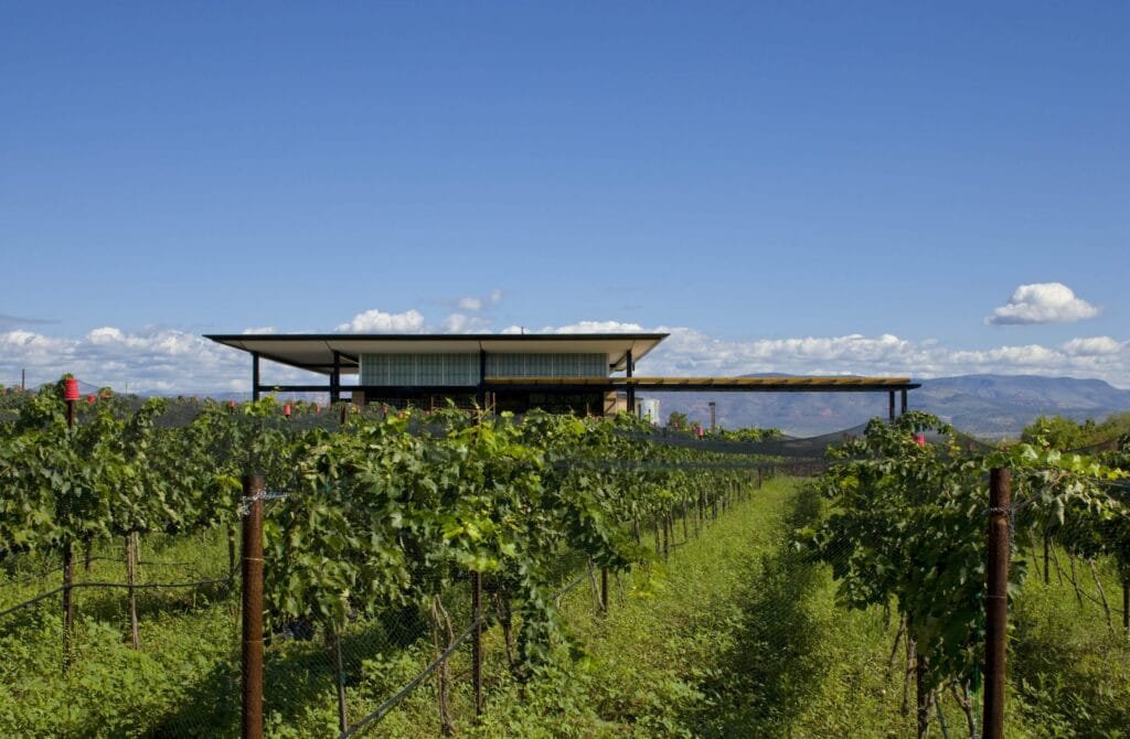 SW-Wine-Center-32-scaled