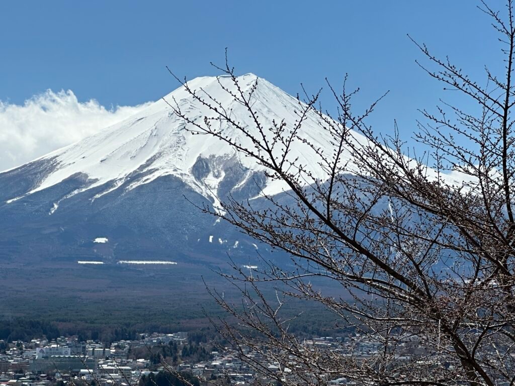 IMG_3764(1)