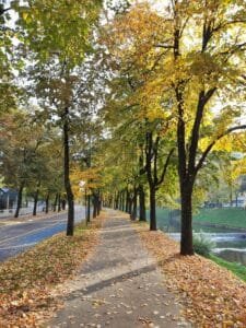 The wonderful colours of Autumn