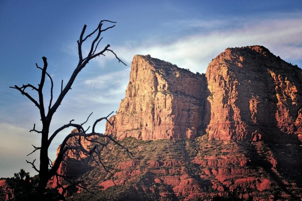 pexels-photo-383619-383619 Scenic view of Sedona's towering red rock formations and silhouetted tree at sunset.