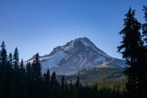 Stunning view of Mount Hood's snowcapped peak under a clear blue sky, surrounded by lush forests in Oregon.